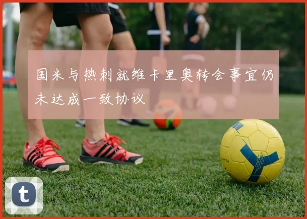 国米与热刺就维卡里奥转会事宜仍未达成一致协议