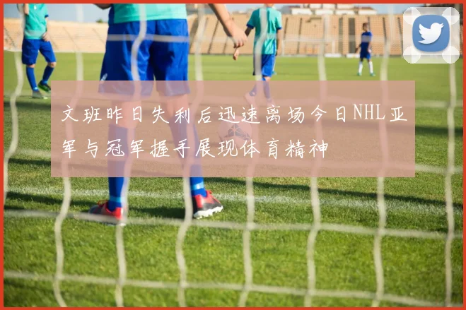 文班昨日失利后迅速离场今日NHL亚军与冠军握手展现体育精神