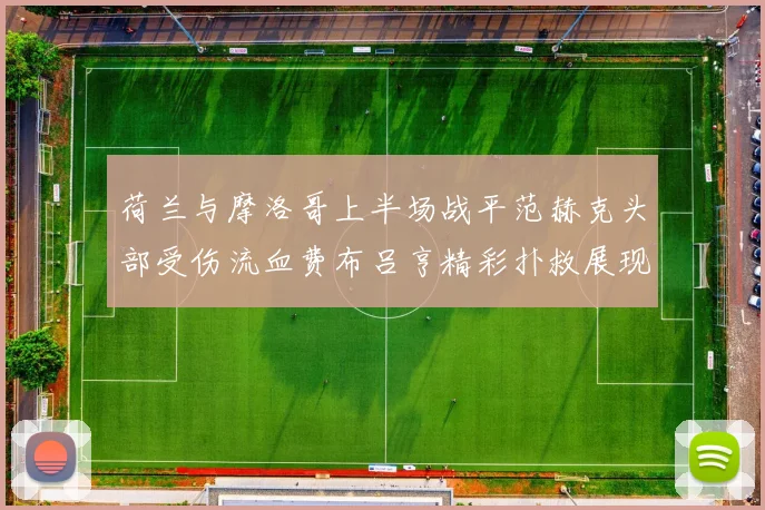 荷兰与摩洛哥上半场战平范赫克头部受伤流血费布吕亨精彩扑救展现实力